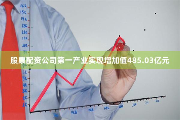 股票配资公司第一产业实现增加值485.03亿元