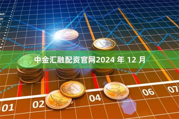 中金汇融配资官网2024 年 12 月