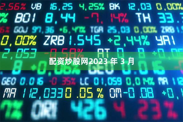 配资炒股网2023 年 3 月
